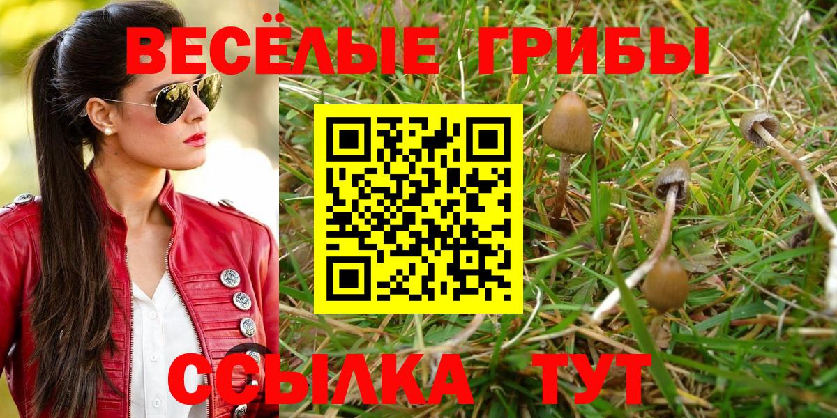 Миллерово  Псилоцибиновые грибы мухоморы  Вход с VPN 